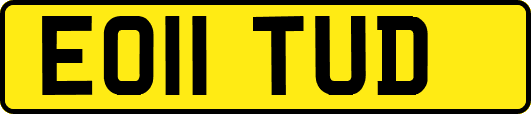 EO11TUD