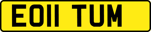 EO11TUM