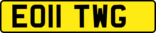 EO11TWG