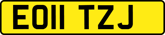 EO11TZJ