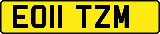 EO11TZM