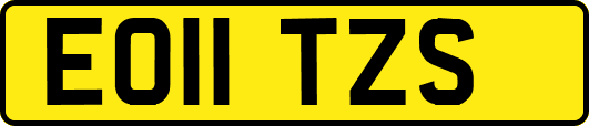 EO11TZS