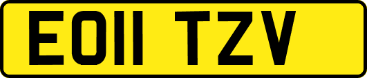 EO11TZV