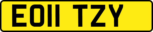 EO11TZY