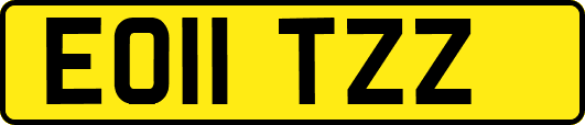 EO11TZZ