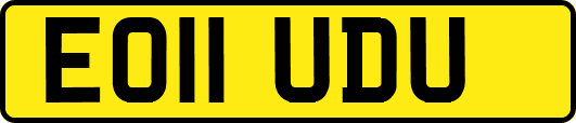 EO11UDU