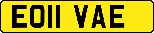 EO11VAE