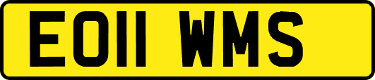 EO11WMS