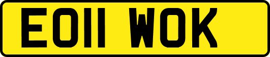 EO11WOK