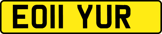EO11YUR