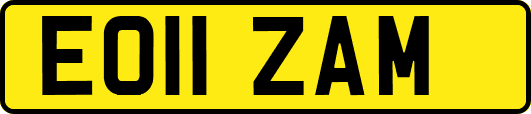 EO11ZAM