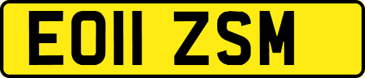 EO11ZSM