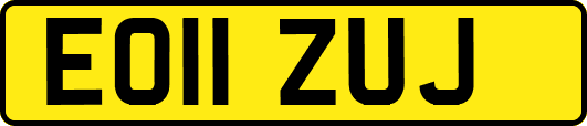 EO11ZUJ