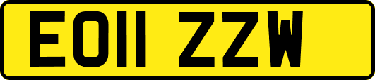 EO11ZZW