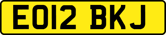 EO12BKJ