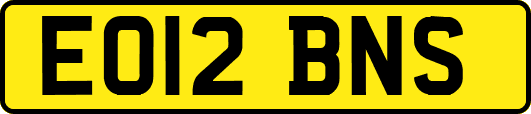 EO12BNS