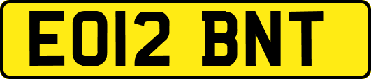 EO12BNT