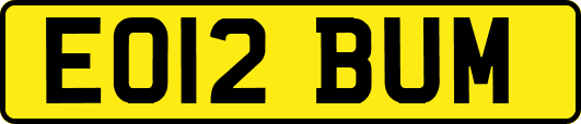 EO12BUM