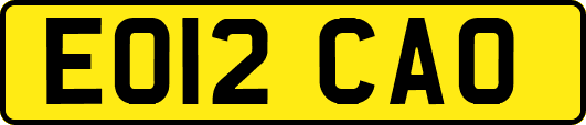 EO12CAO