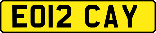 EO12CAY
