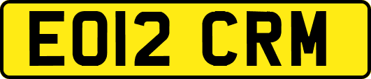 EO12CRM