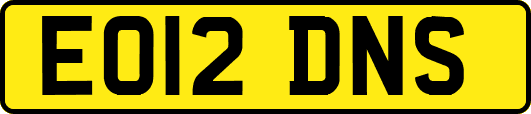EO12DNS