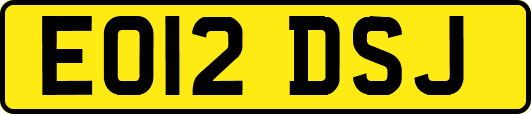 EO12DSJ