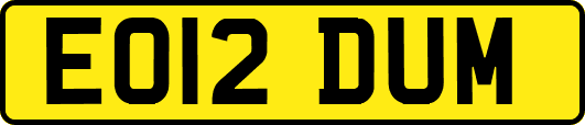 EO12DUM