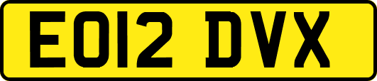 EO12DVX