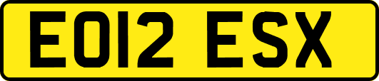 EO12ESX