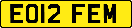 EO12FEM