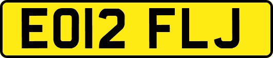 EO12FLJ
