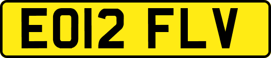 EO12FLV
