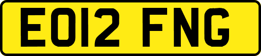 EO12FNG