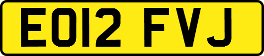 EO12FVJ