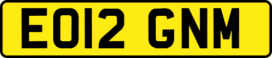 EO12GNM