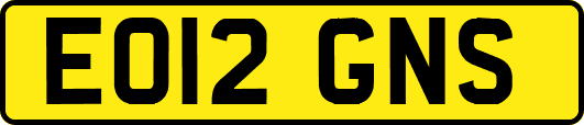 EO12GNS
