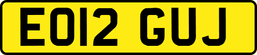 EO12GUJ
