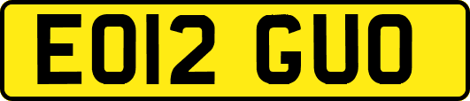 EO12GUO