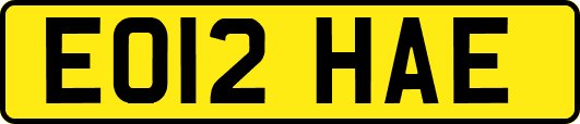 EO12HAE