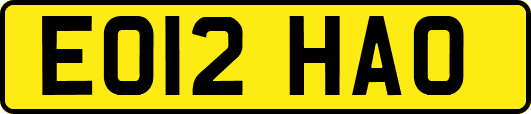 EO12HAO