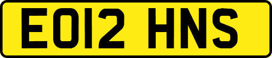 EO12HNS