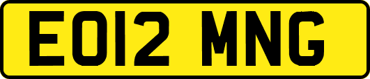 EO12MNG