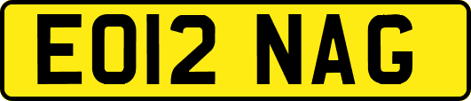 EO12NAG