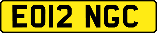 EO12NGC