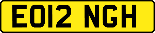 EO12NGH