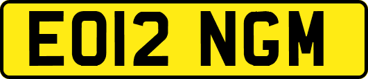 EO12NGM