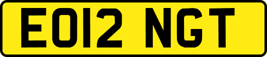 EO12NGT