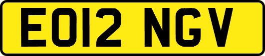 EO12NGV