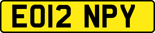 EO12NPY